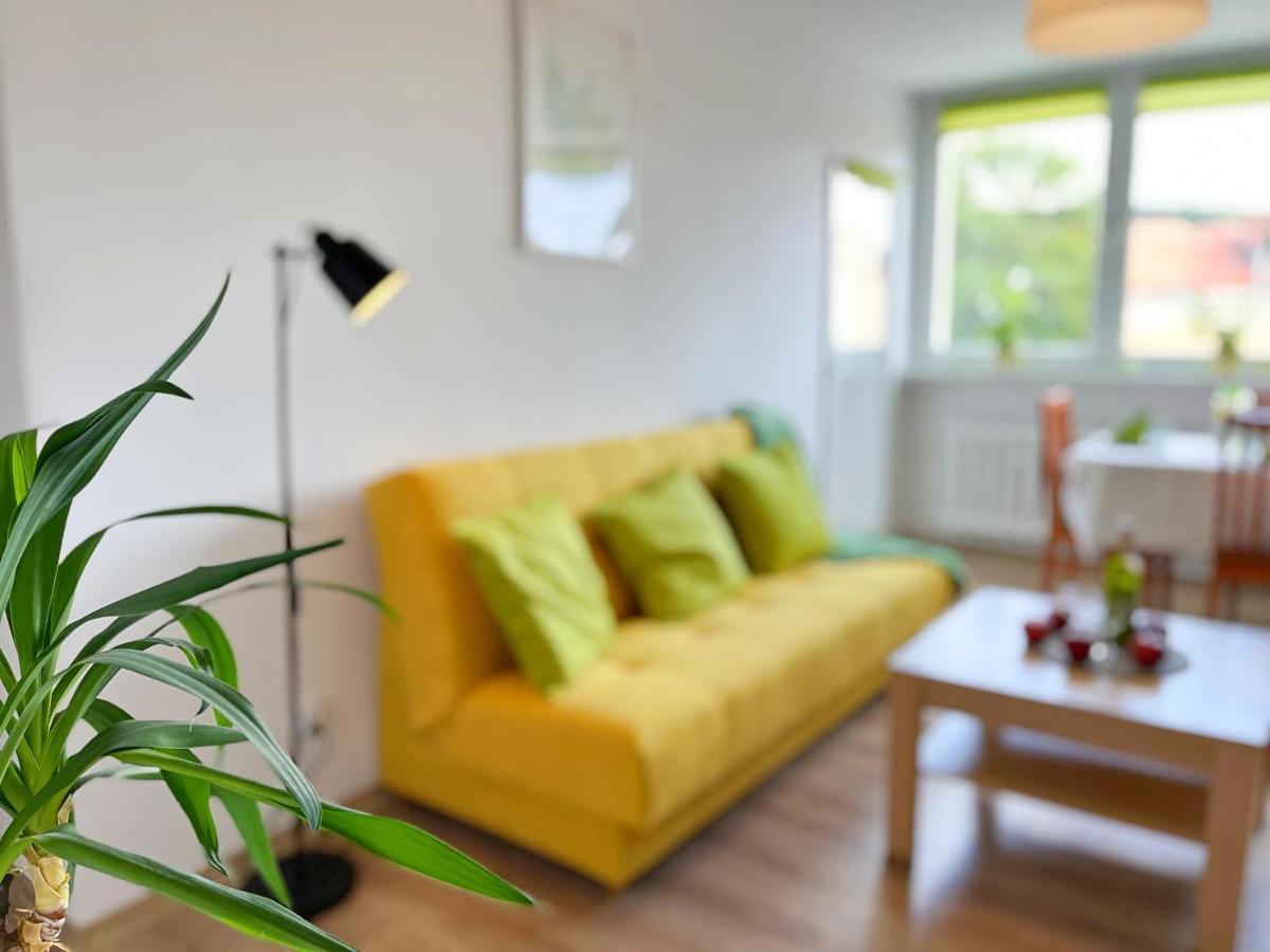 Apartament Parkowy 瓦乌布日赫 外观 照片